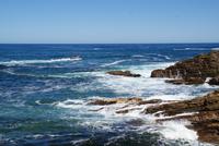 Wanderung im Tsitsikama Nationalpark