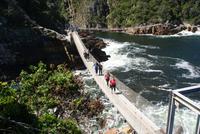 Hängebrücken im Tsitsikama Nationalpark