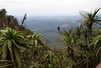 God's Window-mit grandioser Aussicht ins tiefe Tal