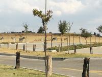 Cradle Moon Lakeside Lodge