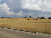 Cradle Moon Lakeside Lodge