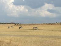 Cradle Moon Lakeside Lodge