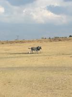 Cradle Moon Lakeside Lodge