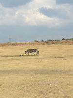 Cradle Moon Lakeside Lodge