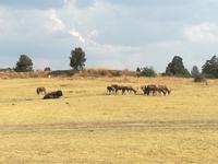 Cradle Moon Lakeside Lodge