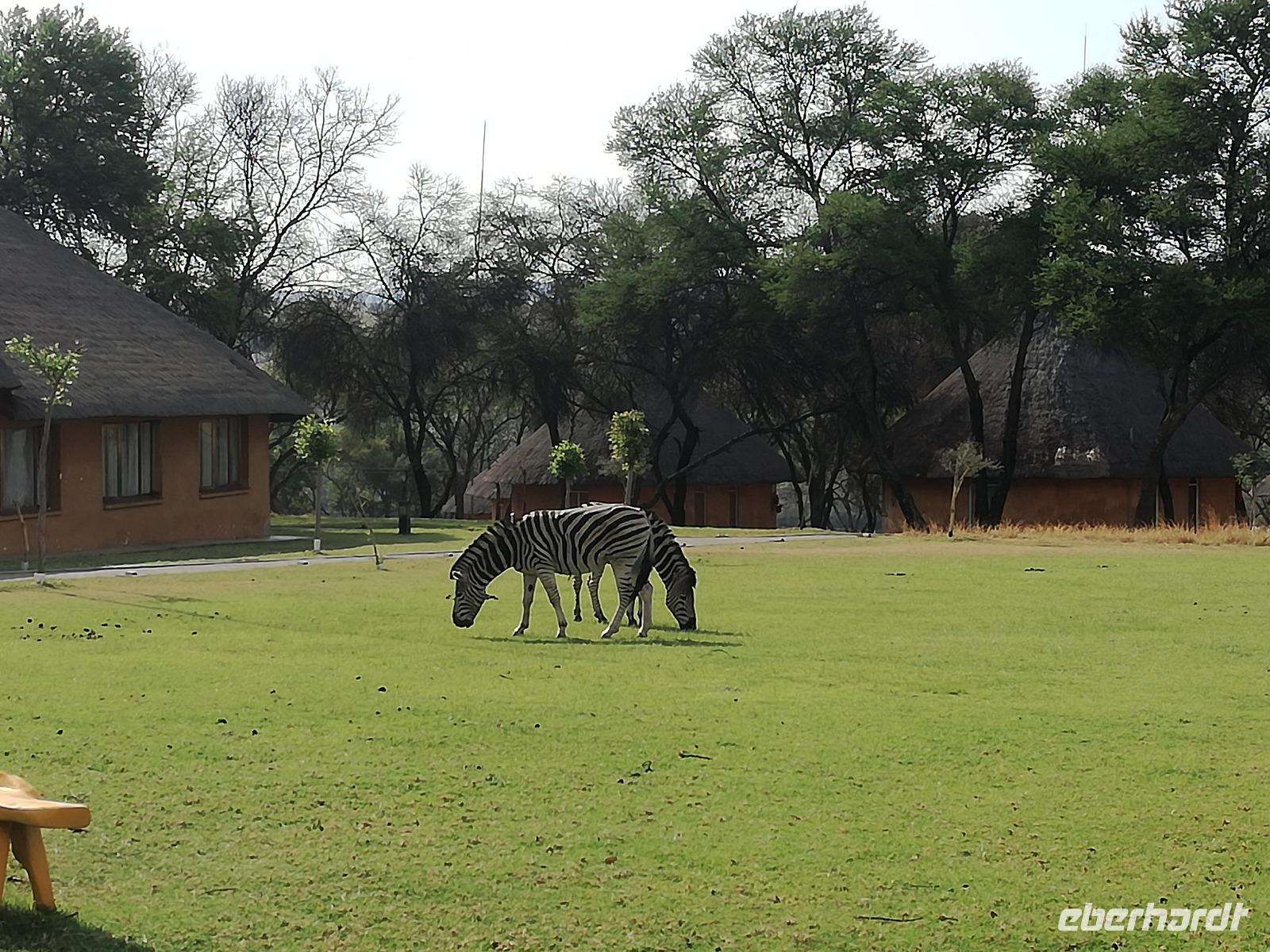 Cradle Moon Lakeside Lodge