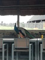 Cradle Moon Lakeside Lodge