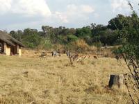 Cradle Moon Lakeside Lodge
