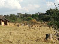 Cradle Moon Lakeside Lodge