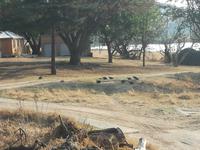 Cradle Moon Lakeside Lodge