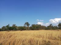 Cradle Moon Lakeside Lodge