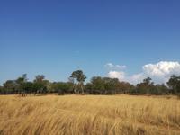 Cradle Moon Lakeside Lodge