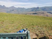 Drakensberge - Rainbow Gorge Trail