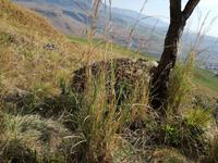Drakensberge - Rainbow Gorge Trail
