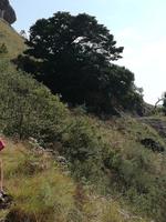 Drakensberge - Rainbow Gorge Trail