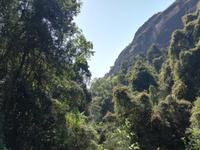 Drakensberge - Rainbow Gorge Trail
