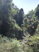 Drakensberge - Rainbow Gorge Trail