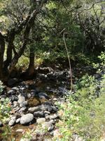 Drakensberge - Rainbow Gorge Trail