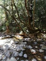 Drakensberge - Rainbow Gorge Trail