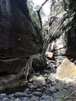 Drakensberge - Rainbow Gorge Trail