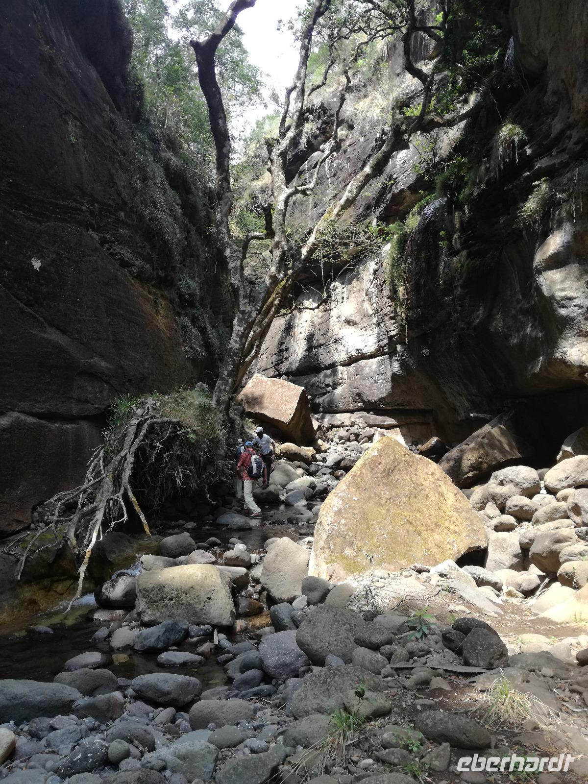 Drakensberge - Rainbow Gorge Trail