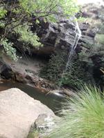 Drakensberge - Doreen Falls Trail