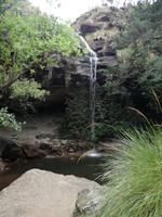 Drakensberge - Doreen Falls Trail