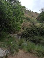 Drakensberge - Doreen Falls Trail