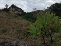 Drakensberge - Doreen Falls Trail
