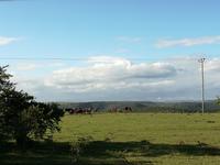Fahrt zum Kariega Wildreservat