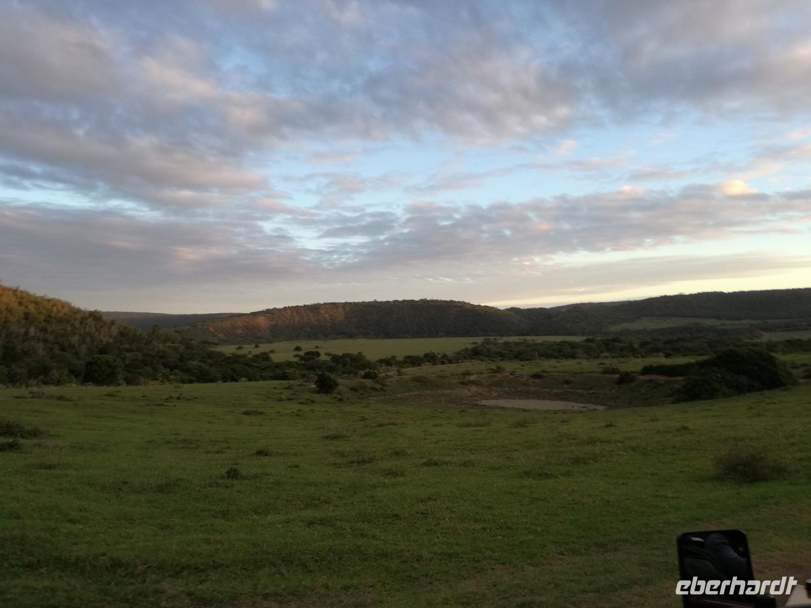 Kariega Wildreservat