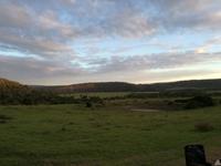 Kariega Wildreservat