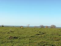 Kariega Wildreservat