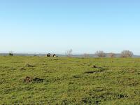 Kariega Wildreservat