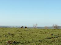 Kariega Wildreservat