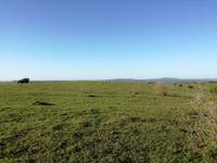 Kariega Wildreservat