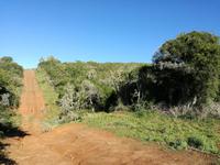 Kariega Wildreservat