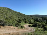 Kariega Wildreservat