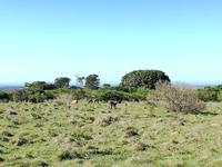 Kariega Wildreservat