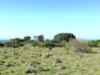 Kariega Wildreservat