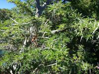 Kariega Wildreservat