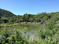 Kariega Wildreservat