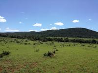 Kariega Wildreservat