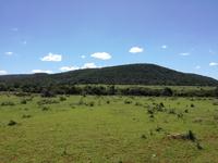 Kariega Wildreservat