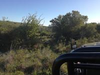 Kariega Wildreservat