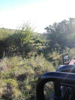 Kariega Wildreservat