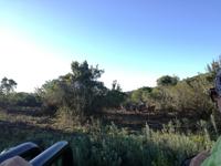 Kariega Wildreservat