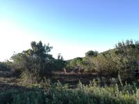 Kariega Wildreservat