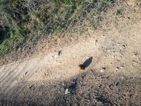 Kariega Wildreservat