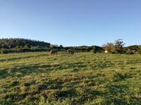 Kariega Wildreservat